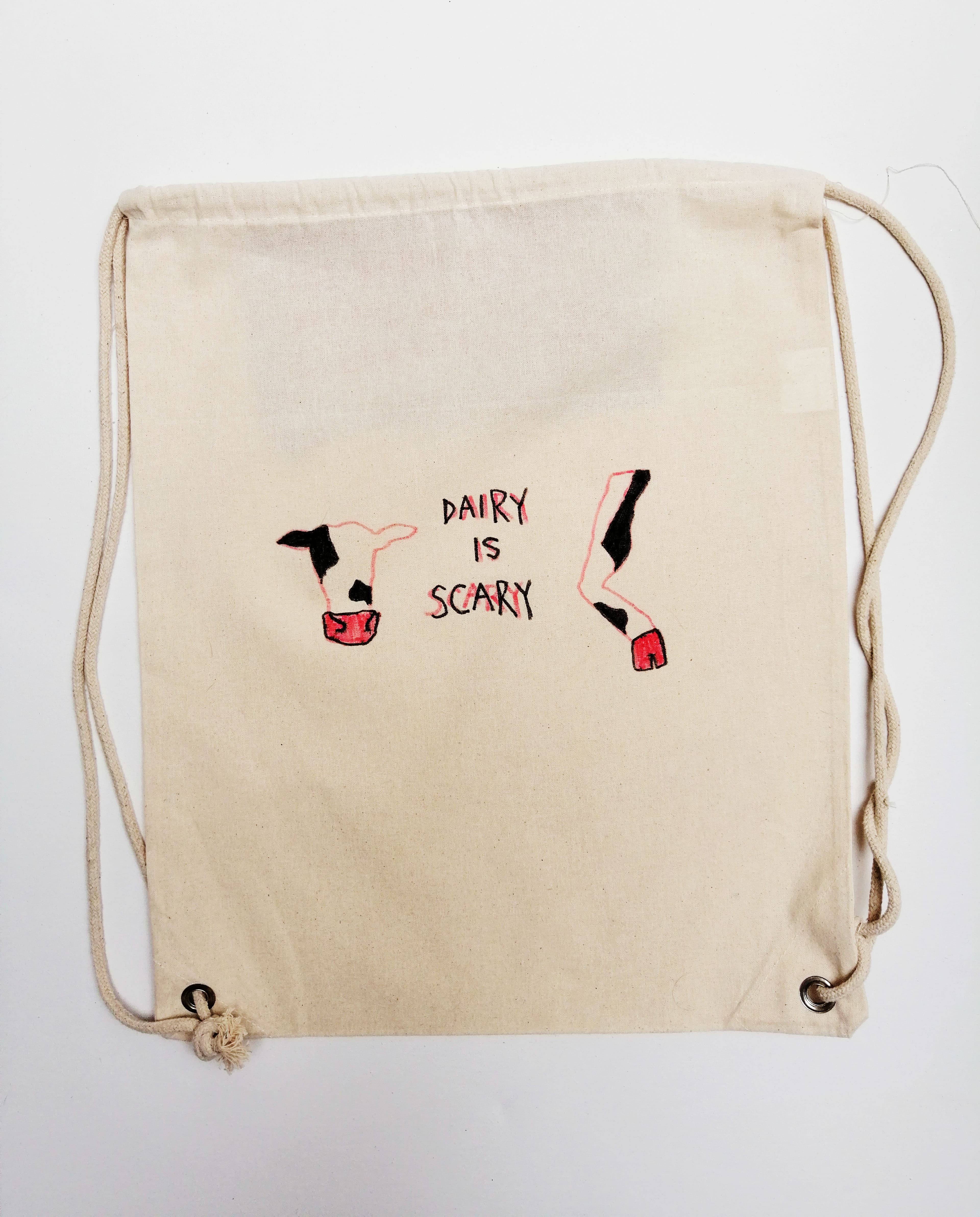 Diary is Scary bag